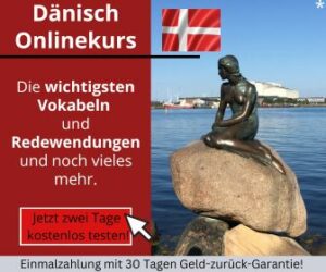 Dänisch Online lernen - Sprachkurs Banner