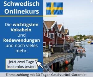 Schwedisch Online lernen - Sprachkurs Banner